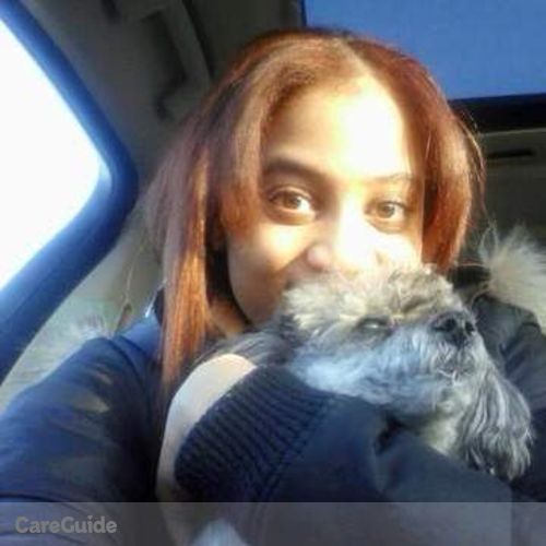 Pet Care Provider Angel I's Profile Picture
