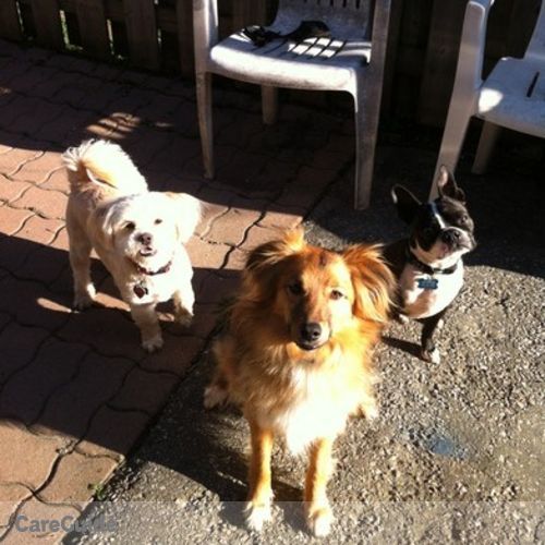 Pet Care Provider Home sweet Home D's Profile Picture
