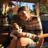 La Caada Flintridge House and Petsitter Seeking Work! I am offering services that may seem tedious to a normal schedule!