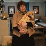 Loving Care For Your Pet!