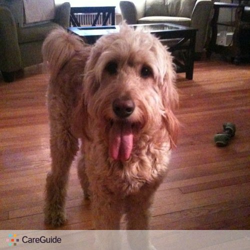 Pet Care Job Lindsey B's Profile Picture