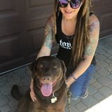 Interested in pet sitting opportunities anywhere in Colorado!