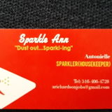 Dust Out, Sparkl Ing"