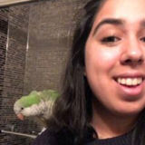 Experienced Pet Sitter