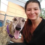 Available: Dedicated Dog Walker/Pet Sitter in Lady Lake, Florida