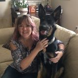 Rest easy when you are away from home pet sitter/house sitter