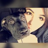 I will make sure your dog(s) are happy and cared for while you are away. What can I say? I love dogs! In Manteca , California