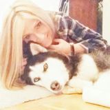 Centereach Dog Trainer Interviewing For Job Opportunities