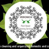 Most Seasoned Home Cleaning Provider in Astoria