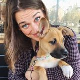 Available For Denver House Sitter Jobs