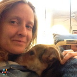 House sitter with dog available