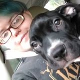 For Hire: Qualified Animal Sitter