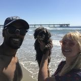 Dedicated pet sitter, able to take dogs on hikes, neighbourhood walks, to the park and much more
