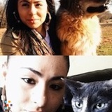 Give Your Pet the Spotlight!