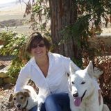 Caring Dog Walking Available Now!