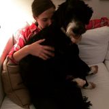 Loving Pet Care Provider