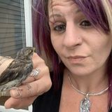 My name is Nicole. All my life I have had animals. Ranging from horses and chickens to dogs, cats, rabbits...