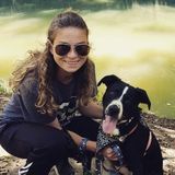 Who let the DOGS out? Pet walking or sitting available in Louisville!