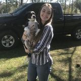 Im trustworthy and consistent with my work. I learn very quickly and get along great with pets.
