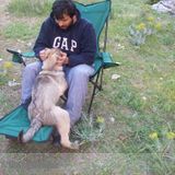 Reliable Pet Sitter-Let me friend of he/she