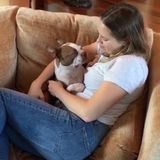 Hello, my name is Aurora and I am friendly dog walker and sitter who lives in Montreal, Quebec.