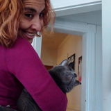 Experienced Dependable Pet Sitter Available Immediately