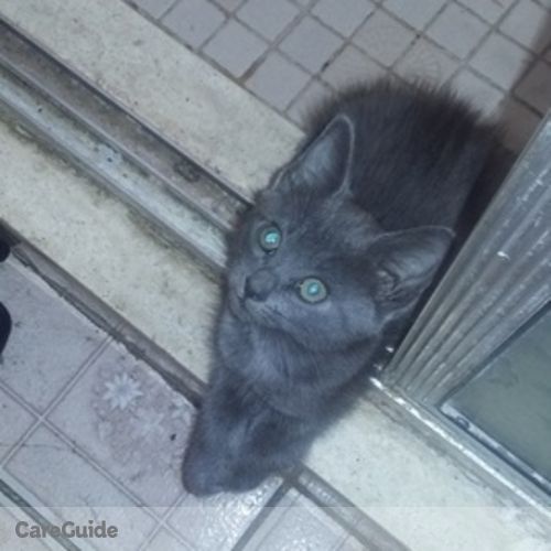 Pet Care Provider Loni F's Profile Picture