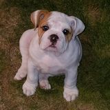 Loving and caring for your babies with love and care just like I do my own.
