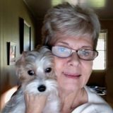 The Animal Caregiver you've been looking for!