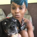 Best Pet Sitter To Meet
