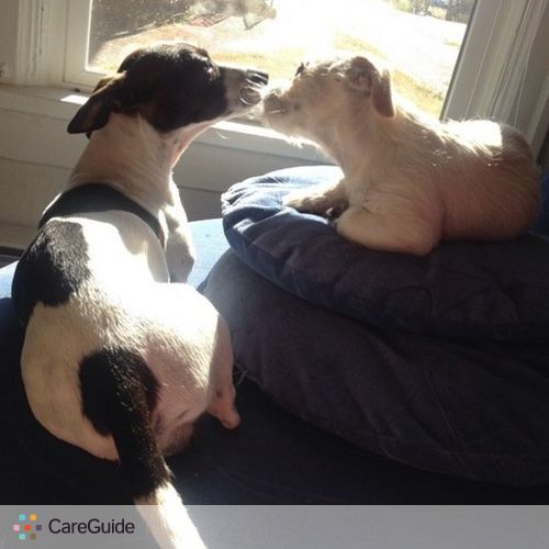 Pet Care Provider Casey Penaluna's Profile Picture