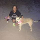 As if this were my home and my pets, oh so loved...