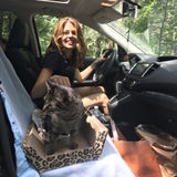 Responsible, reliable house and pet sitter