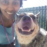 Available Immediately-Pet Sitter with 3+ Years Animal Experience