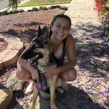 Searching for Santa Maria Petsitter Jobs