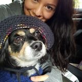 Looking for dog sitter from Oct 6th-15th