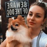 Dog Walker / Pet Sitter in Pace area