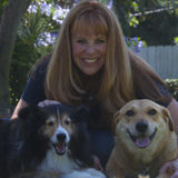 Providing TLC to your pets when you're not able to!