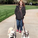 Trustworthy House Sitter and House Keeper