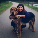 A dog's best friend