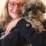 Best Choice, Pet Service Provider in Coronado