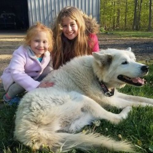 Pet Care Provider Fallon R's Profile Picture
