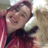 Pet-lover seeking opportunities for care and respectful responsibility, flexible hours