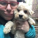 Searching for a House/Petsitter Job in Greater NY