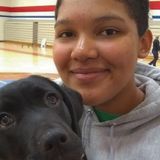 Great Animal Care Provider