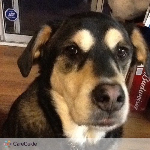 Pet Care Provider Kim Moody's Profile Picture