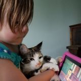 Wonderful Babysitting Provider Wanted in Waynesville