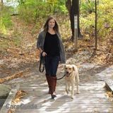 K9 Kilometres: Dog Walking, Dog Sitting & Pet Sitting Services offered