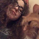 Petersburg Pet Groomer Interested In Job Opportunities