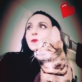 Flexible friendly pet sitter and dog walker living downtown Toronto
